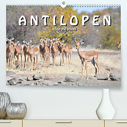 Kalender Antilopen, schön und schnell (Premium, hochwertiger DIN A2 Wandkalender 2022, Kunstdruck in Hochglanz) von ROBERT STYPPA