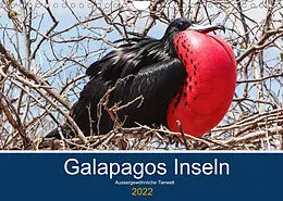 Kalender Tierwelt auf Galapagos (Wandkalender 2022 DIN A4 quer) von IAM photography