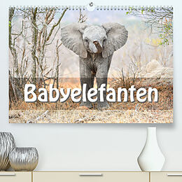 Kalender Babyelefanten (Premium, hochwertiger DIN A2 Wandkalender 2022, Kunstdruck in Hochglanz) von ROBERT STYPPA