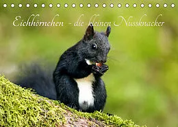 Kalender Eichhörnchen - die kleinen Nussknacker (Tischkalender 2022 DIN A5 quer) von Alena Holtz