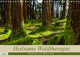 Kalender Heilsame Waldtherapie - Waldbaden nach Shinrin Yoku (Wandkalender 2022 DIN A4 quer) von Janita Webeler