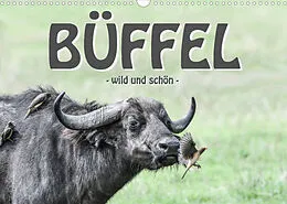 Kalender Büffel - wild und schön (Wandkalender 2022 DIN A3 quer) von ROBERT STYPPA