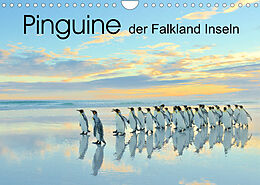Kalender Pinguine der Falkland Inseln (Wandkalender 2022 DIN A4 quer) von Elmar Weiss