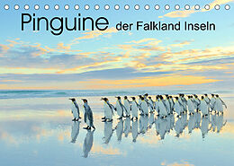 Kalender Pinguine der Falkland Inseln (Tischkalender 2022 DIN A5 quer) von Elmar Weiss