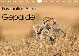 Kalender Faszinaton Afrika: Geparde (Wandkalender 2022 DIN A4 quer) von Elmar Weiss