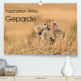 Kalender Faszinaton Afrika: Geparde (Premium, hochwertiger DIN A2 Wandkalender 2022, Kunstdruck in Hochglanz) von Elmar Weiss