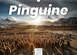 Kalender Pinguine - Die sympathischen Frack-Träger (Wandkalender 2022 DIN A3 quer) von Benjamin Lederer