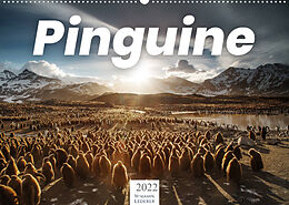 Kalender Pinguine - Die sympathischen Frack-Träger (Wandkalender 2022 DIN A2 quer) von Benjamin Lederer