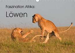 Kalender Faszination Afrika: Löwen (Wandkalender 2022 DIN A3 quer) von Elmar Weiss