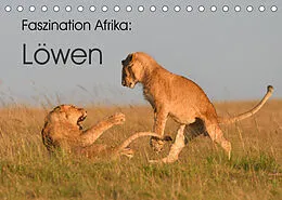 Kalender Faszination Afrika: Löwen (Tischkalender 2022 DIN A5 quer) von Elmar Weiss