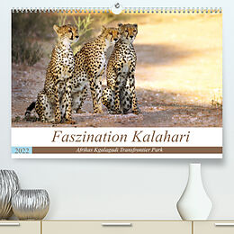 Kalender Faszination Kalahari (Premium, hochwertiger DIN A2 Wandkalender 2022, Kunstdruck in Hochglanz) von Wibke Woyke