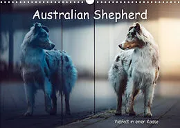 Kalender Australian Shepherd - Vielfalt in einer Rasse (Wandkalender 2022 DIN A3 quer) von Sabrina Wobith Photography