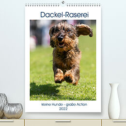 Kalender Dackel-Raserei (Premium, hochwertiger DIN A2 Wandkalender 2022, Kunstdruck in Hochglanz) von Sonja Tessen