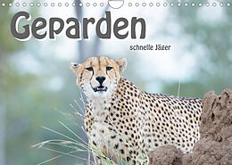 Kalender Geparden - schnelle Jäger (Wandkalender 2022 DIN A4 quer) von ROBERT STYPPA
