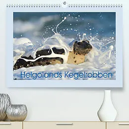 Kalender Helgolands Kegelrobben (Premium, hochwertiger DIN A2 Wandkalender 2022, Kunstdruck in Hochglanz) von Elmar Weiss