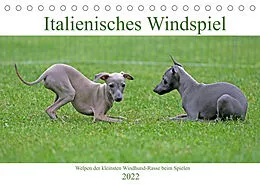 Kalender Italienisches Windspiel (Tischkalender 2022 DIN A5 quer) von Klaus Eppele