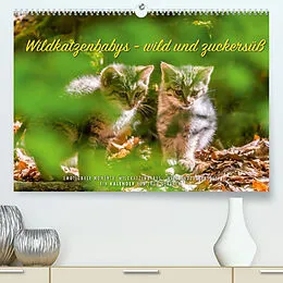 Kalender Wildkatzenbabys - wild und zuckersüß. (Premium, hochwertiger DIN A2 Wandkalender 2022, Kunstdruck in Hochglanz) von Ingo Gerlach