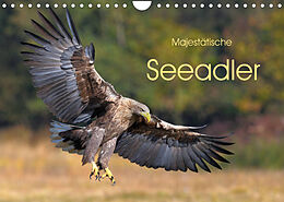 Kalender Majestätische Seeadler (Wandkalender 2022 DIN A4 quer) von Elmar Weiss
