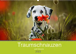 Kalender Traumschnauzen (Wandkalender 2022 DIN A2 quer) von Judith Dzierzawa