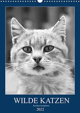 Kalender Wilde Katzen - Korsikas Samtpfoten (Wandkalender 2022 DIN A3 hoch) von Claudia Schimmack