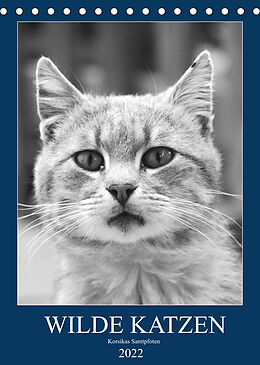 Kalender Wilde Katzen - Korsikas Samtpfoten (Tischkalender 2022 DIN A5 hoch) von Claudia Schimmack