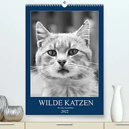 Kalender Wilde Katzen - Korsikas Samtpfoten (Premium, hochwertiger DIN A2 Wandkalender 2022, Kunstdruck in Hochglanz) von Claudia Schimmack
