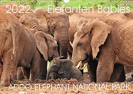 Kalender ADDO ELEPHANT NATIONAL PARK Elefanten Babies (Wandkalender 2022 DIN A3 quer) von Barbara Fraatz