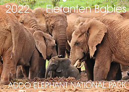 Kalender ADDO ELEPHANT NATIONAL PARK Elefanten Babies (Wandkalender 2022 DIN A2 quer) von Barbara Fraatz