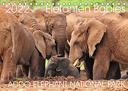 Kalender ADDO ELEPHANT NATIONAL PARK Elefanten Babies (Tischkalender 2022 DIN A5 quer) von Barbara Fraatz