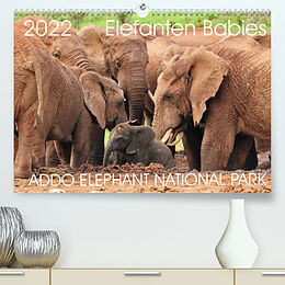 Kalender ADDO ELEPHANT NATIONAL PARK Elefanten Babies (Premium, hochwertiger DIN A2 Wandkalender 2022, Kunstdruck in Hochglanz) von Barbara Fraatz