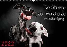 Kalender Die Stimme der Windhunde (Wandkalender 2022 DIN A3 quer) von Marcus Gier