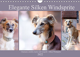 Kalender Elegante Silken Windsprite (Wandkalender 2022 DIN A4 quer) von Fotodesign Verena Scholze