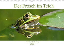 Kalender Der Frosch im Teich - auf Froschbeobachtung (Wandkalender 2022 DIN A3 quer) von Claudia Schimmack