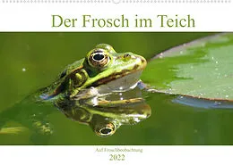 Kalender Der Frosch im Teich - auf Froschbeobachtung (Wandkalender 2022 DIN A2 quer) von Claudia Schimmack