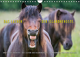 Kalender Das Lachen der Islandhengste. (Wandkalender 2022 DIN A4 quer) von Ingo Gerlach