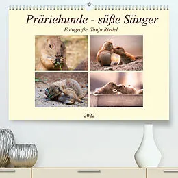 Kalender Präriehunde - süße Säuger (Premium, hochwertiger DIN A2 Wandkalender 2022, Kunstdruck in Hochglanz) von Tanja Riedel