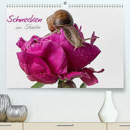 Kalender Schnecken im Studio (Premium, hochwertiger DIN A2 Wandkalender 2022, Kunstdruck in Hochglanz) von Claudia Kellermann