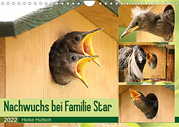 Kalender Nachwuchs bei Familie Star (Wandkalender 2022 DIN A4 quer) von Heike Hultsch