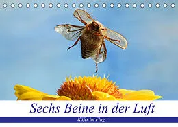 Kalender Sechs Beine in der Luft - Käfer im Flug (Tischkalender 2022 DIN A5 quer) von André Skonieczny
