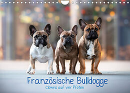 Kalender Französische Bulldogge - Clowns auf vier Pfoten (Wandkalender 2022 DIN A4 quer) von Sabrina Wobith Photography - FotosVonMaja