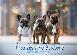 Kalender Französische Bulldogge - Clowns auf vier Pfoten (Wandkalender 2022 DIN A3 quer) von Sabrina Wobith Photography - FotosVonMaja