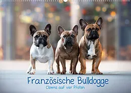 Kalender Französische Bulldogge - Clowns auf vier Pfoten (Wandkalender 2022 DIN A2 quer) von Sabrina Wobith Photography - FotosVonMaja