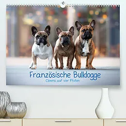 Kalender Französische Bulldogge - Clowns auf vier Pfoten (Premium, hochwertiger DIN A2 Wandkalender 2022, Kunstdruck in Hochglanz) von Sabrina Wobith Photography - FotosVonMaja