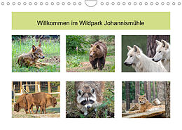 Kalender Willkommen im Wildpark Johannismühle (Wandkalender 2022 DIN A4 quer) von Christoph Ebeling