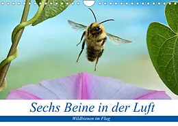 Kalender Sechs Beine in der Luft - Wildbienen im Flug (Wandkalender 2022 DIN A4 quer) von André Skonieczny