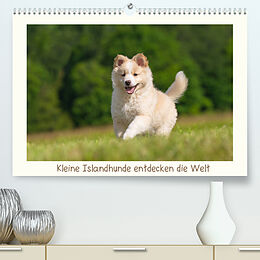 Kalender Kleine Islandhunde entdecken die Welt (Premium, hochwertiger DIN A2 Wandkalender 2022, Kunstdruck in Hochglanz) von Monika Scheurer