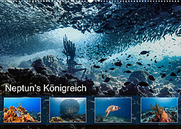 Kalender Neptun's Königreich (Wandkalender 2022 DIN A2 quer) von Yvonne &amp; Tilo Kühnast - naturepics