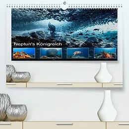 Kalender Neptun's Königreich (Premium, hochwertiger DIN A2 Wandkalender 2022, Kunstdruck in Hochglanz) von Yvonne & Tilo Kühnast - naturepics