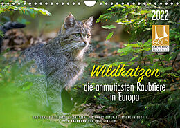 Kalender Wildkatzen - die anmutigsten Raubiere in Europa. (Wandkalender 2022 DIN A4 quer) von Ingo Gerlach