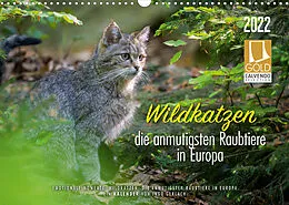 Kalender Wildkatzen - die anmutigsten Raubiere in Europa. (Wandkalender 2022 DIN A3 quer) von Ingo Gerlach